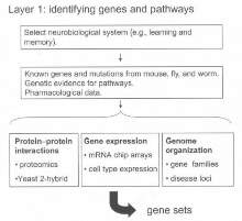 Figure 2: This layer requires bioinformatics and expertise of sciences within the area of basic biology.